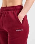 AYBL Sports Outline Oversized Joggers - Burgundy - Image 5