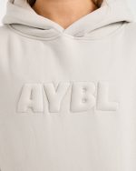 Classic Plush Oversized Hoodie - Sand - Image 5
