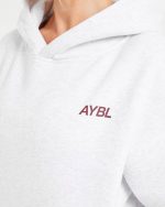 AYBL Sports Club Oversized Hoodie - Grey Marl/Burgundy - Image 5