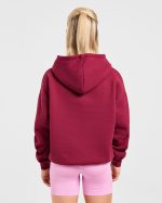 Script Embroidered Oversized Hoodie - Burgundy/Pink - Image 2