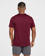 Origin T Shirt - Merlot Red - Image 2