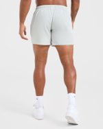 Core 5" Shorts - Ice Grey - Image 2